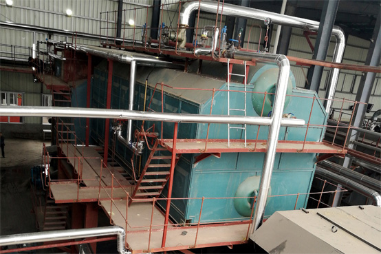 10吨DZL生物质锅炉项目
